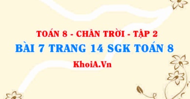 Bài 7 trang 14 Toán 8 Chân trời sáng tạo Tập 2